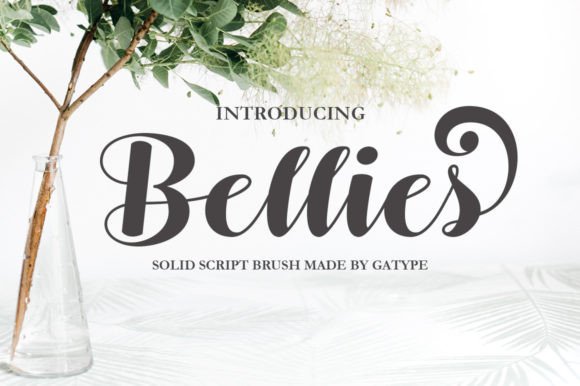 Bellies: The Modern Script Font for Creative Projects