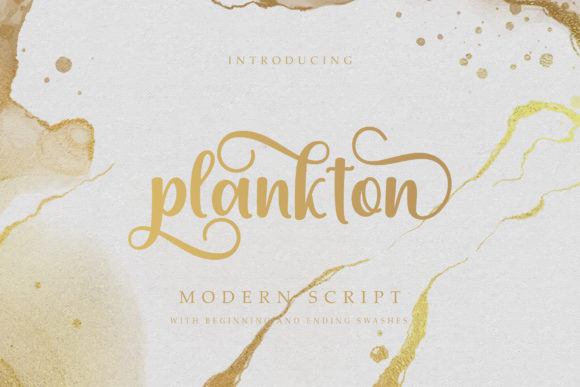 Plankton: Your New Favorite Script Font for Elegant Designs