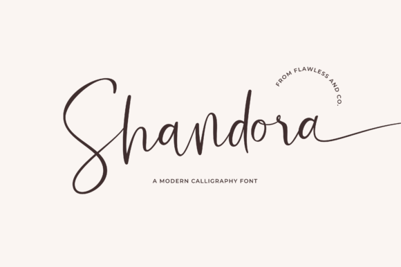 Shandora: A Sweet Script Font for Modern Branding
